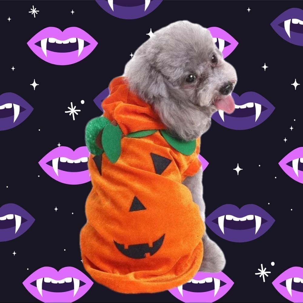 🎃Halloween Pumpkin Pet Costume🎃